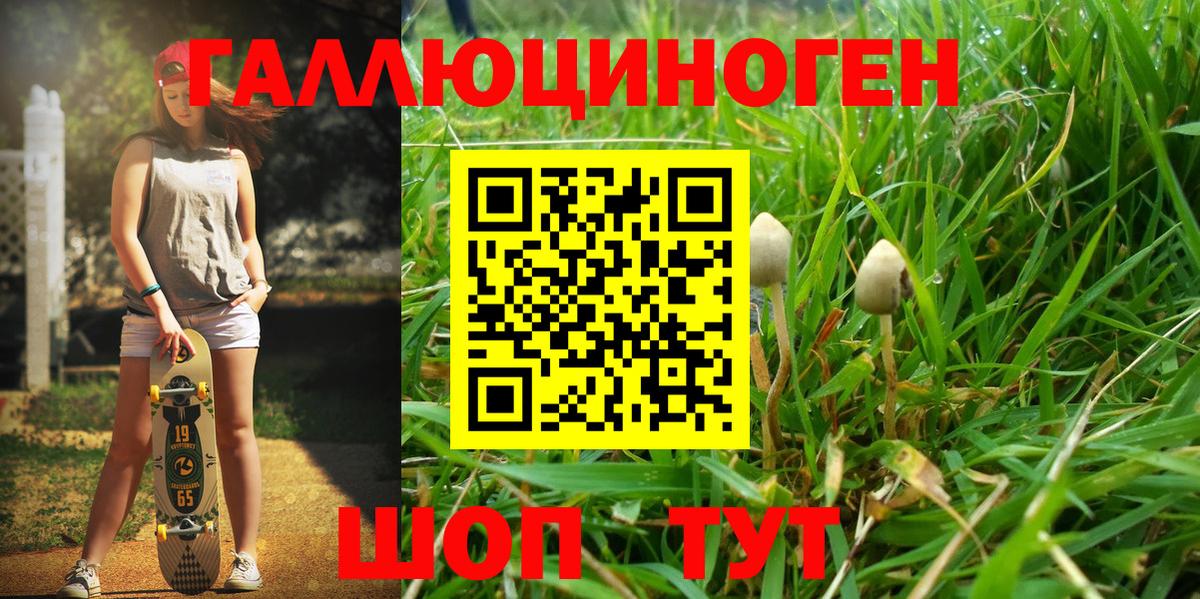 Псилоцибиновые грибы Psilocybe  Вход с VPN  где найти   Югорск 